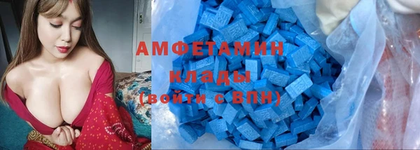 молекула духа Богородицк