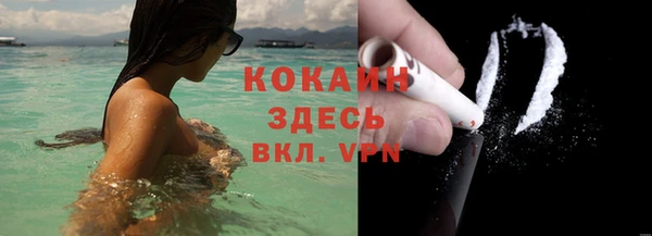 a pvp Бородино