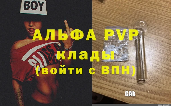 молекула духа Богородицк