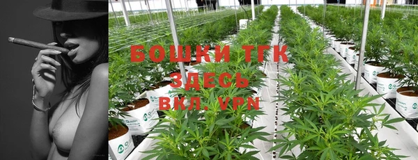 прущие крисы Новозыбков