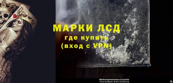 ECSTASY Богданович