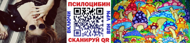 Псилоцибиновые грибы Psilocybe  Кузнецк 
