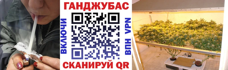 Каннабис семена shop формула Кузнецк